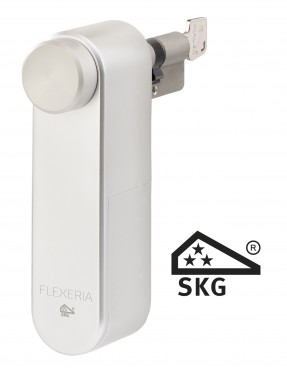 Flexeria motorcilinder