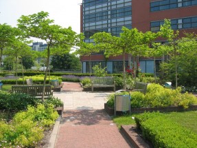 Onderhoud groendak