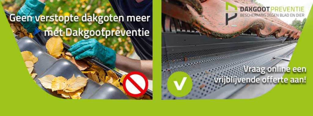 Dakgootpreventie