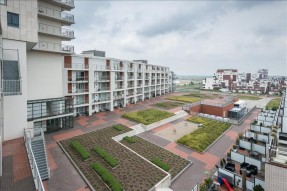 Groendak op jouw complex